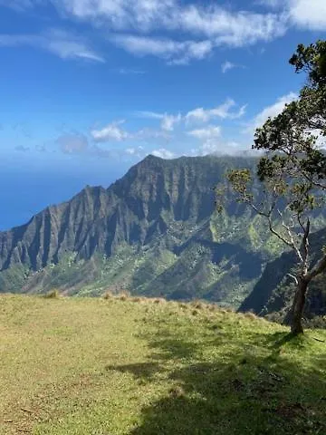 הוילה פרינסוויל Pili Aloha 0*,  ארצות הברית